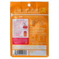 Gassco（ガスコ） オーガニック ハニーブッシュティー 1袋（15バッグ入） 三角ティーバッグ