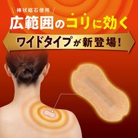 ピップ エレキバンワイド 1箱（6枚入） ELW806 ピップ