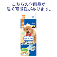 エリエール キミおもい パワフル消臭シート レギュラー 無香タイプ 88枚入 1袋 大王製紙