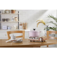 イワタニ カセットフー プチスリムIII CB-JRC-PS3 1台 岩谷産業