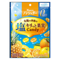 キャンディ 個包装  ノンシュガー 塩キリっと果実キャンディ 70g 1セット(1個×12) カンロ