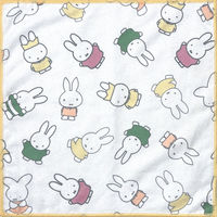 ミッフィー miffy 70周年 アイテム マイクロファイバー ふきん 30×30cm 1パック（3枚入）オカトー