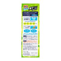 【旧品】【数量限定】 バブ 入浴剤 クール キリーッと炭酸ライム浴 ライムの香り 1箱（12錠入）花王