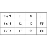 SUNCO GB JCN(六角穴(4平 D=17 6 X 17 (10本入り) N0-00-0973-0060-0170-07-10P（直送品）