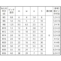 SUNCO クロメート 溝付きナット(高形(1種 M16 (1本入り) N0-00-0C00-0160-0000-02-1P（直送品）