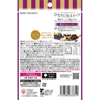 栄光堂 ひとりじめスイーツ贅沢ラムレーズン 4573580633310 1セット(6個)（直送品）