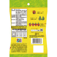 パイン はらぺこあおむしキャンディ 4902435031368 1セット(6個)（直送品）