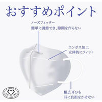 ユニフリー KN95防護マスク10枚個包装 UNF-012 1箱(10枚入)（直送品）