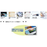 フジテックス 耐水紙300μ A3サイズ XM375A3 1箱(200枚入)（わけあり品）