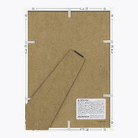 ナカバヤシ デジタルプリントフレーム アルミ A4 シルバー 1枚