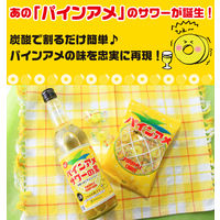 パインアメサワーの素 25度 600ml 1本 リキュール 中野BC