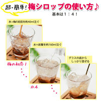 梅シロップ 紀州 梅の初恋 720ml 1本 ノンアルコール