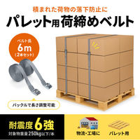 サンワサプライ  パレット荷締めベルト（6m×2本入り） QL-E103（直送品）