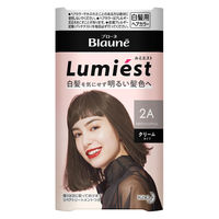 ブローネ ルミエストヘアカラー 2A スタイリA 花王