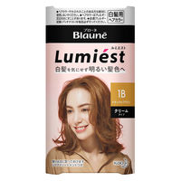 ブローネ ルミエストヘアカラー 1B ナチュラルB 花王