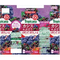 キリンビバレッジ トロピカーナ カシス＆ぶどう 250ml LLスリム 1セット（48本）