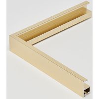 アルナ　トレード デッサン額　Ｔ２５　７００角　ゴールド　屋内用 087781 1枚（直送品）