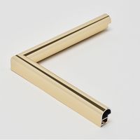 アルナ　トレード デッサン額　ＩＣ　Ａ５　ゴールド　屋内用 088096 1枚（直送品）