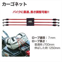 レックス カーゴネット HBA-M010 1個（直送品）