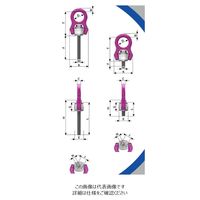ルッドリフティングジャパン（RUD） ACP-6.3t-M24 1個（直送品）