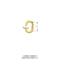 ルッドリフティングジャパン（RUD） ID-Link 1個（直送品）