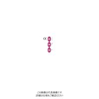 ルッドリフティングジャパン（RUD） ICE-4 1m（直送品）