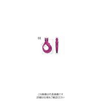 ルッドリフティングジャパン（RUD） IAGH-8 1個（直送品）