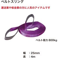 レックス ベルトスリング25mm×4m BS254 1本（直送品）