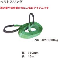 レックス ベルトスリング50mm×6m BS506 1本（直送品）