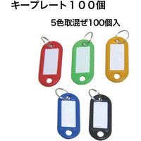 レックス キープレート100個 KP100N 1セット（直送品）