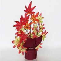 アルファ いろはもみじペアポット TE4-0265 1セット（直送品）