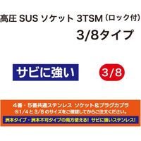 フルテック 高圧SUSソケット3TSM(ロック付)3/8用 B232112 1個（直送品）