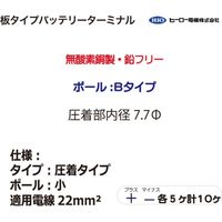 ワーズインク 板タイプバッテリーターミナル圧着タイプBタイプ各5個 DCPS22Z 1セット（直送品）