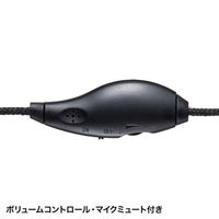 ヘッドセット USB接続/マイク搭載/1.8m/USBヘッドセット MM-HSU09BK 1個 サンワサプライ（わけあり品）