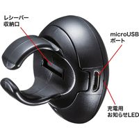 サンワサプライ ワイヤレスプレゼンター レーザーレス 充電式 プレゼン機能 ソフトウェアポインター機能 LP-RF114BK 1個