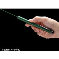 サンワサプライ グリーンレーザーポインター LP-GL1017G 1個（直送品）