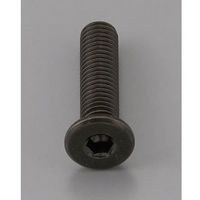 エスコ M6 x16mm 六角穴付ボルト(超低頭/4本) EA949MW-616 1セット(40本:4本×10ケース)（直送品）