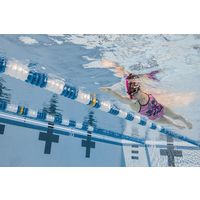 ＦＩＮＩＳ（フィニス） Ｓｗｉｍｍｅｒ’ｓ Ｓｎｏｒｋｅｌ Ｐｉｎｋ 大人用 50 105009112 1個（直送品）