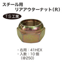 TS工業 スチール用リアアウターナットR(10個) 240-4R-10 1セット（直送品）