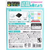 Pirates Factory ちょこっと実験箱 結晶を育てよう1個入×10セット KSH13110（直送品）