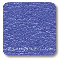 高田ベッド アダクションII ライトブルー TB-1222 1台（直送品）