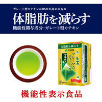【機能性表示食品】伊藤園 おーいお茶 プレミアムティーバッグ 一番摘み緑茶 1箱（20バッグ入）