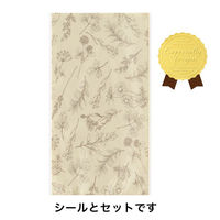ヘッズ ベルプランツOPPギフトバッグ-5 500枚(100枚×5) BEP-OP5（直送品）