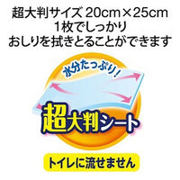 【おしりふき】【大人用/流せない】ライフリー　おしりふき　超大判スッキリ　ユニ・チャーム　1セット(60枚入×12パック)