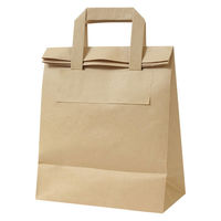 パックタケヤマ フォールドバッグ2212茶無地 XZV69994 1箱(200枚入)（直送品）