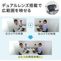 サンワサプライ 会議用カメラ CMS-V60BK 1個