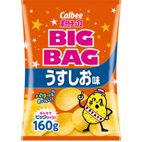 カルビー　ポテトチップスビッグバッグうすしお味　160g　1セット（6袋）