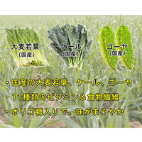 日本の青汁 100g×3袋セット　ファイン　青汁