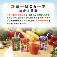 カゴメ　野菜一日これ一本超濃縮　鉄分　125ml　1箱（24本入）【野菜ジュース】