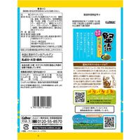堅あげポテト枝豆塩バター味 60g 6袋 カルビー ポテトチップス スナック菓子 おつまみ